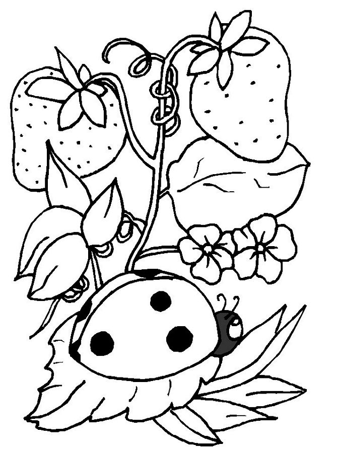 Dessin à colorier: Saison Printemps (Nature) #164794 - Coloriages à Imprimer Gratuits