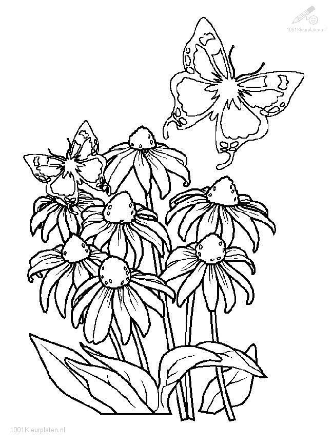 Dessin à colorier: Saison Printemps (Nature) #164854 - Coloriages à Imprimer Gratuits