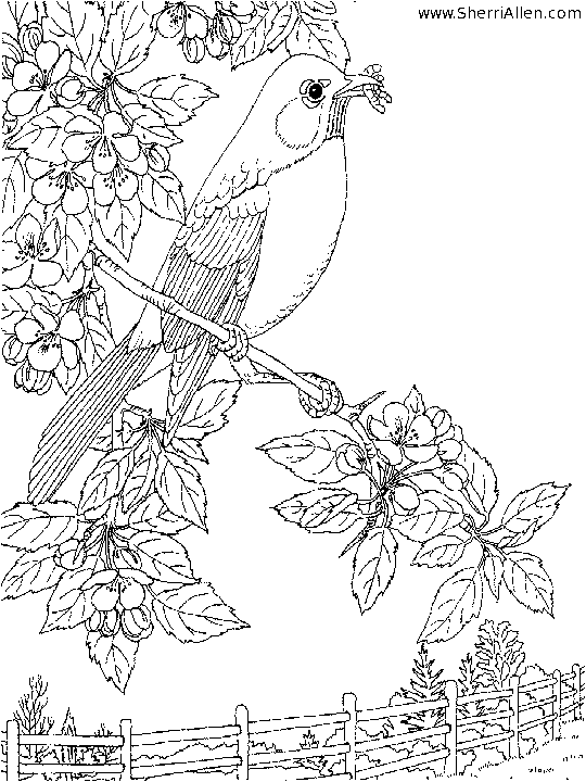 Dessin à colorier: Saison Printemps (Nature) #164967 - Coloriages à Imprimer Gratuits