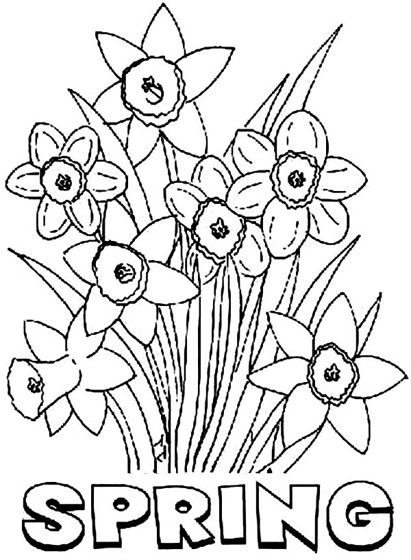 Dessin à colorier: Saison Printemps (Nature) #164999 - Coloriages à Imprimer Gratuits