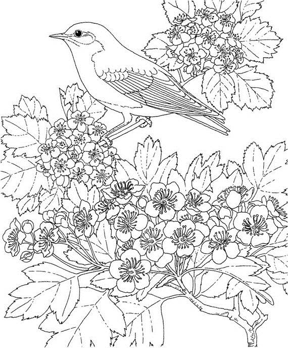 Dessin à colorier: Saison Printemps (Nature) #165058 - Coloriages à Imprimer Gratuits