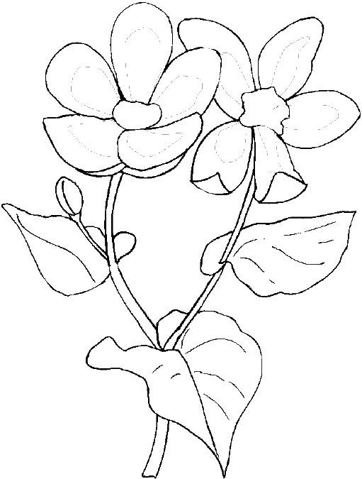 Dessin à colorier: Saison Printemps (Nature) #165076 - Coloriages à Imprimer Gratuits