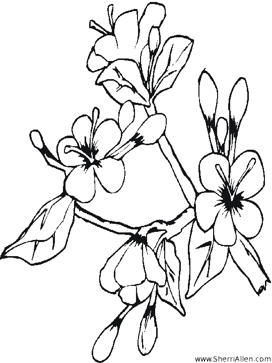 Dessin à colorier: Saison Printemps (Nature) #165094 - Coloriages à Imprimer Gratuits