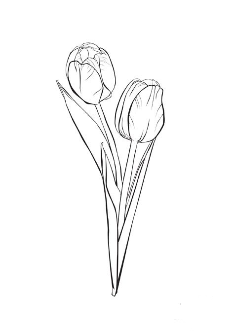 Dessin à colorier: Tulipe (Nature) #161635 - Coloriages à Imprimer Gratuits