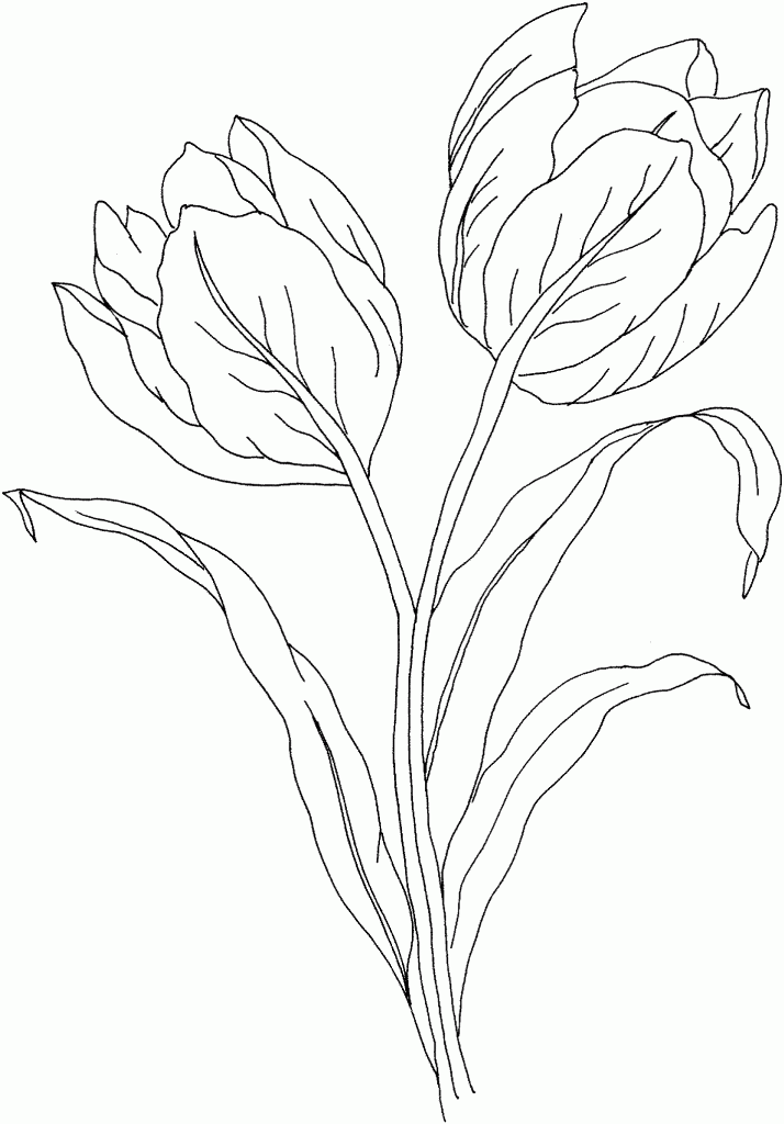 Dessin à colorier: Tulipe (Nature) #161655 - Coloriages à Imprimer Gratuits