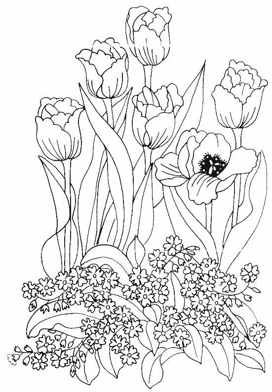Dessin à colorier: Tulipe (Nature) #161669 - Coloriages à Imprimer Gratuits