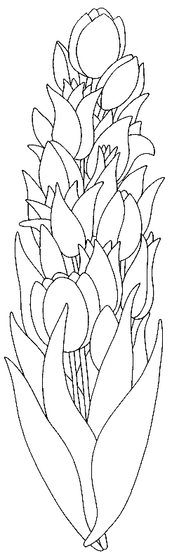 Dessin à colorier: Tulipe (Nature) #161675 - Coloriages à Imprimer Gratuits