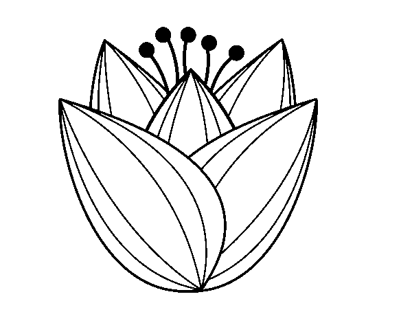 Dessin à colorier: Tulipe (Nature) #161681 - Coloriages à Imprimer Gratuits