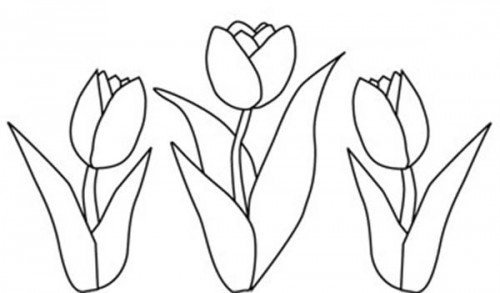 Dessin à colorier: Tulipe (Nature) #161684 - Coloriages à Imprimer Gratuits