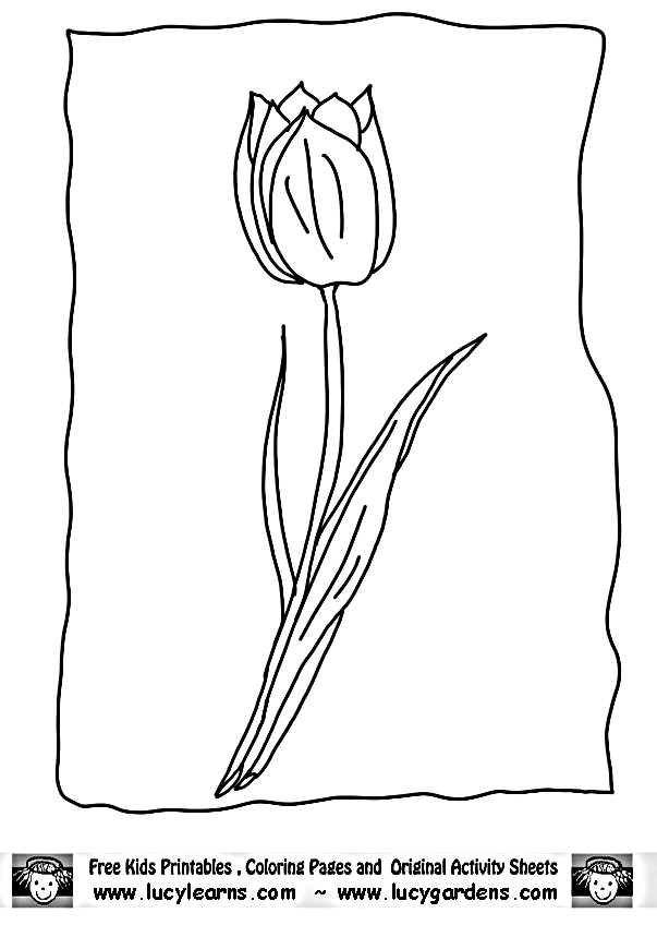 Dessin à colorier: Tulipe (Nature) #161712 - Coloriages à Imprimer Gratuits
