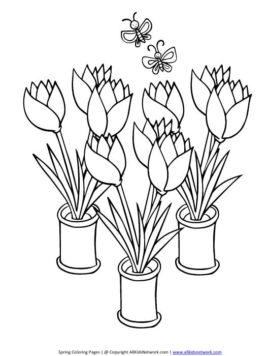 Dessin à colorier: Tulipe (Nature) #161714 - Coloriages à Imprimer Gratuits