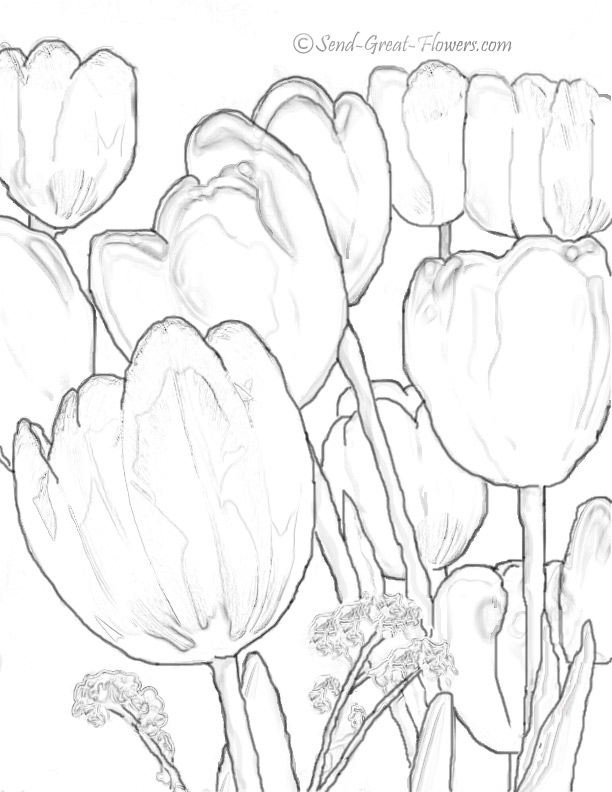 Dessin à colorier: Tulipe (Nature) #161750 - Coloriages à Imprimer Gratuits