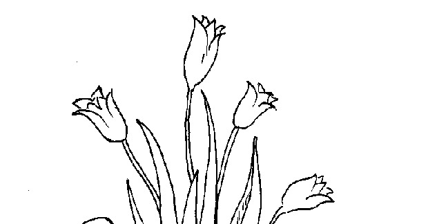 Dessin à colorier: Tulipe (Nature) #161761 - Coloriages à Imprimer Gratuits