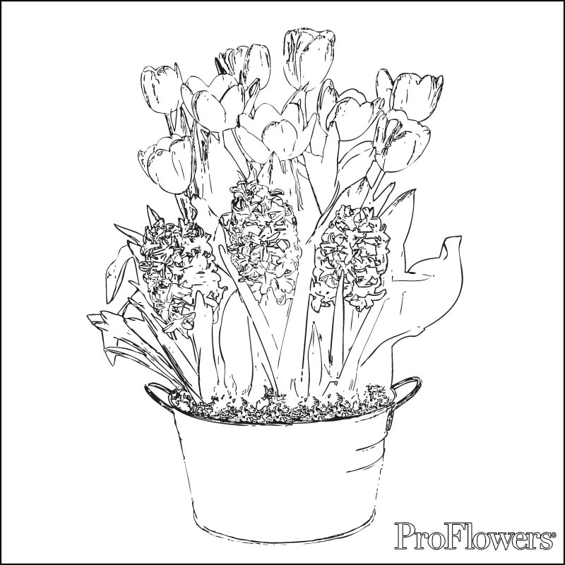 Dessin à colorier: Tulipe (Nature) #161792 - Coloriages à Imprimer Gratuits