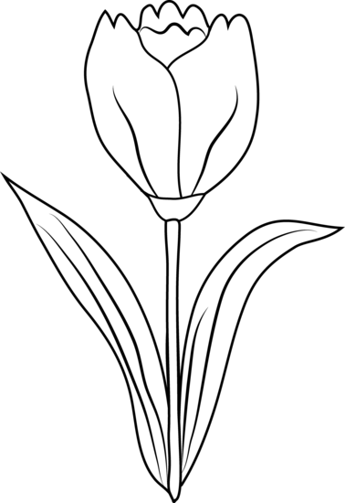 Dessin à colorier: Tulipe (Nature) #161793 - Coloriages à Imprimer Gratuits