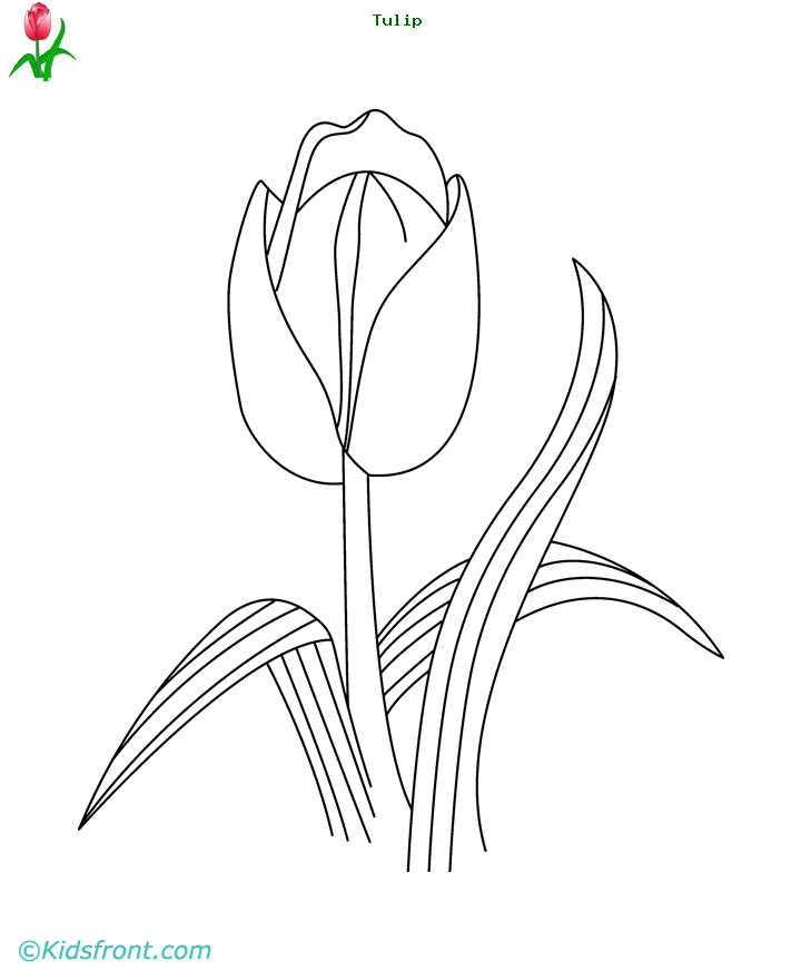 Dessin à colorier: Tulipe (Nature) #161797 - Coloriages à Imprimer Gratuits