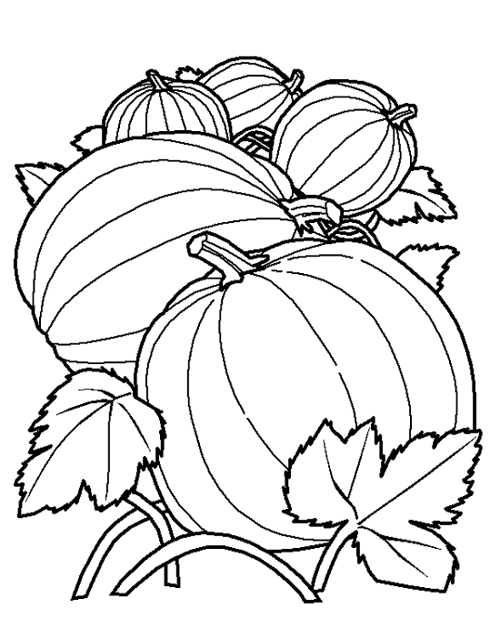 Dessin à colorier: Citrouille (Objets) #166946 - Coloriages à Imprimer Gratuits