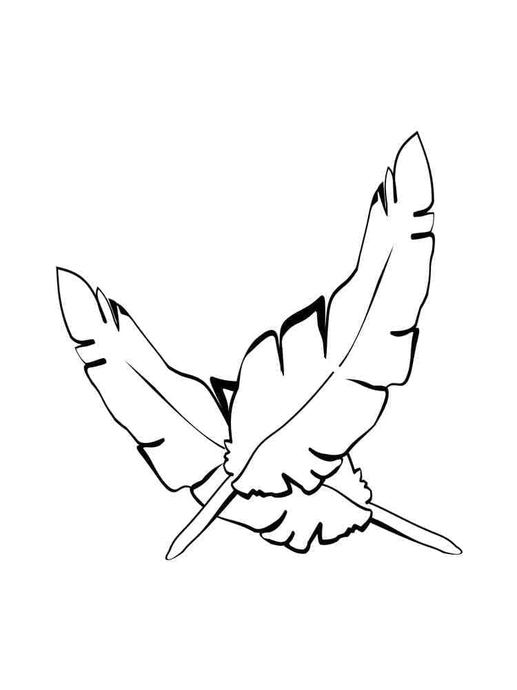 Coloriage gratuit pour enfants et adultes Plume #212617, collection Objets