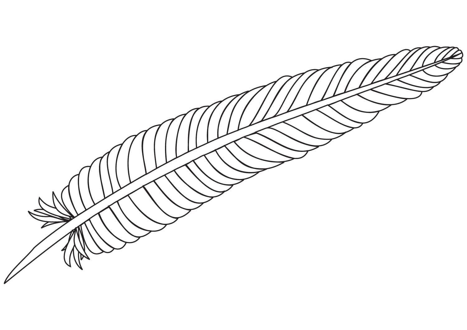 Coloriage gratuit pour enfants et adultes Plume #212623, collection Objets