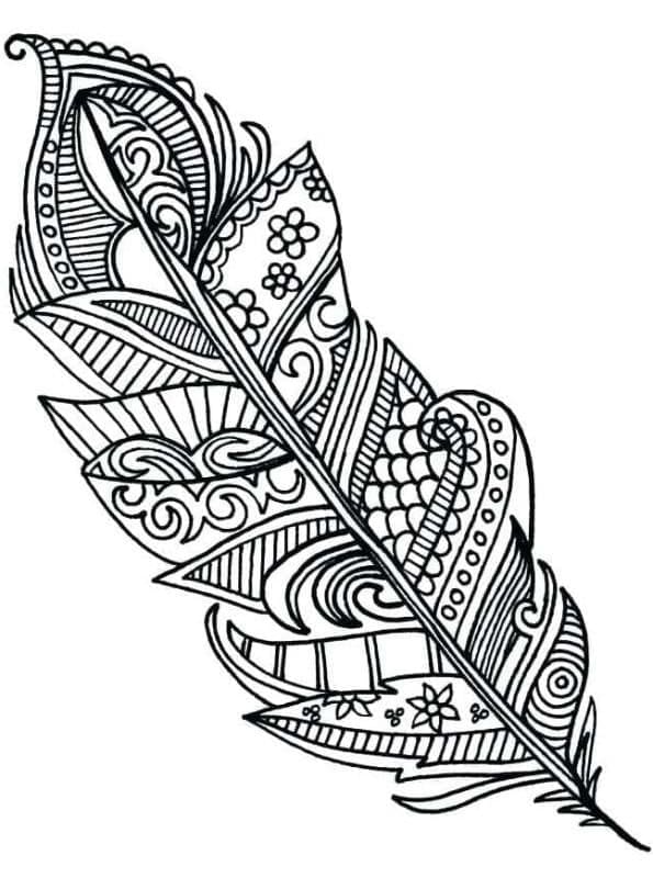 Coloriage gratuit Plume #212630 de la collection Objets à imprimer