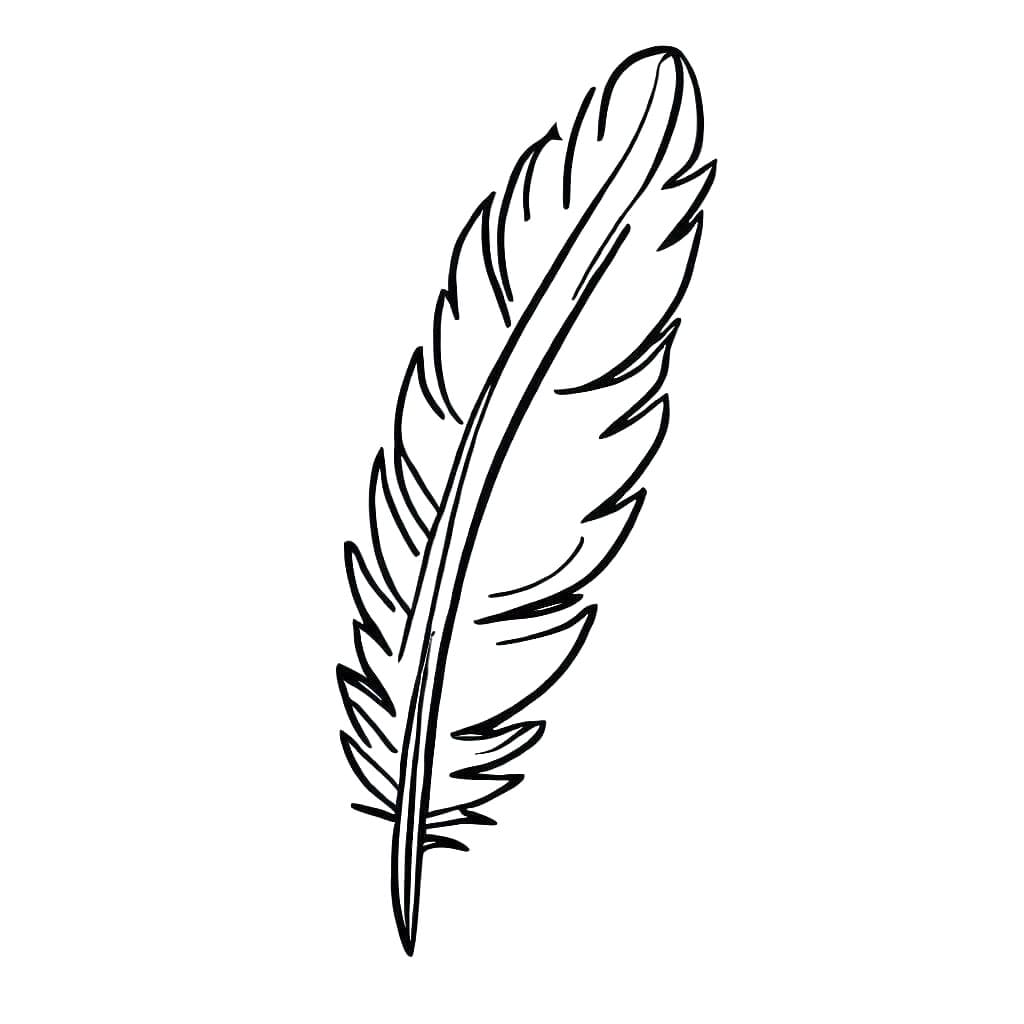 Coloriage gratuit Plume #212635 de la collection Objets à imprimer