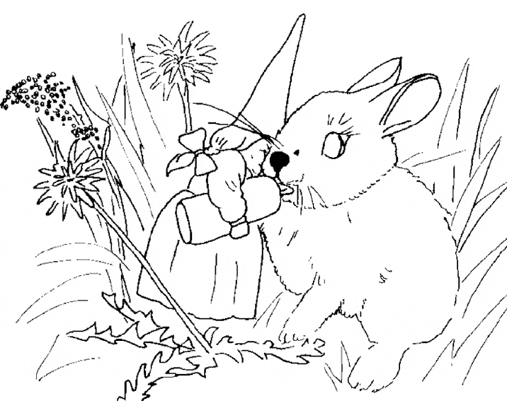 Joli coloriage David le Gnome #51274 de la collection Personnages de dessins animés, prêt à imprimer pour petits et grands