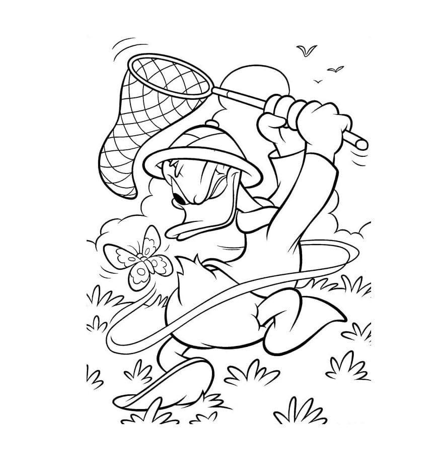 Illustration au trait Donald Duck #186279 de la collection Personnages de dessins animés à colorier gratuitement