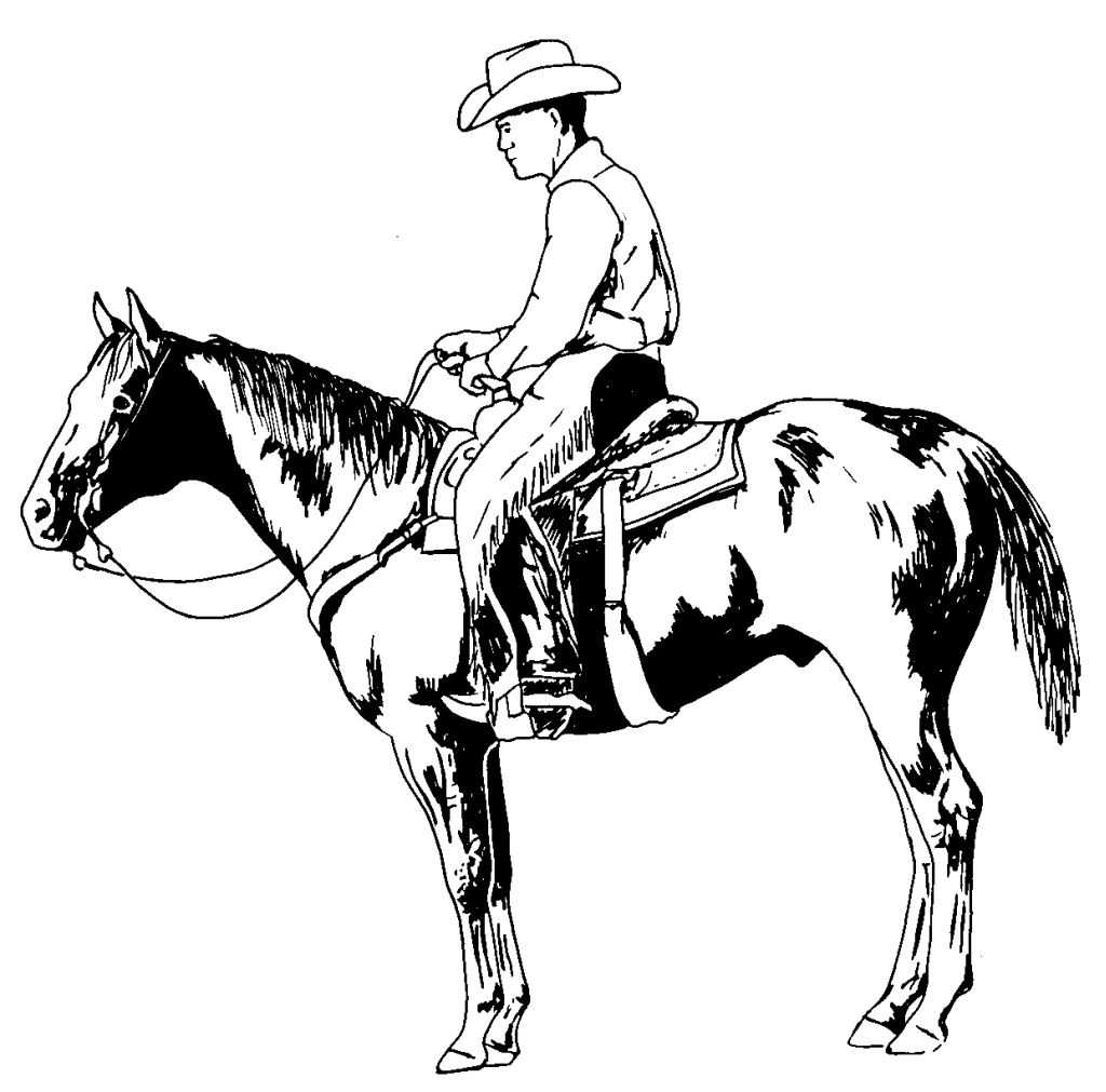 Coloriages Cowboy (Personnages) – Album de coloriages