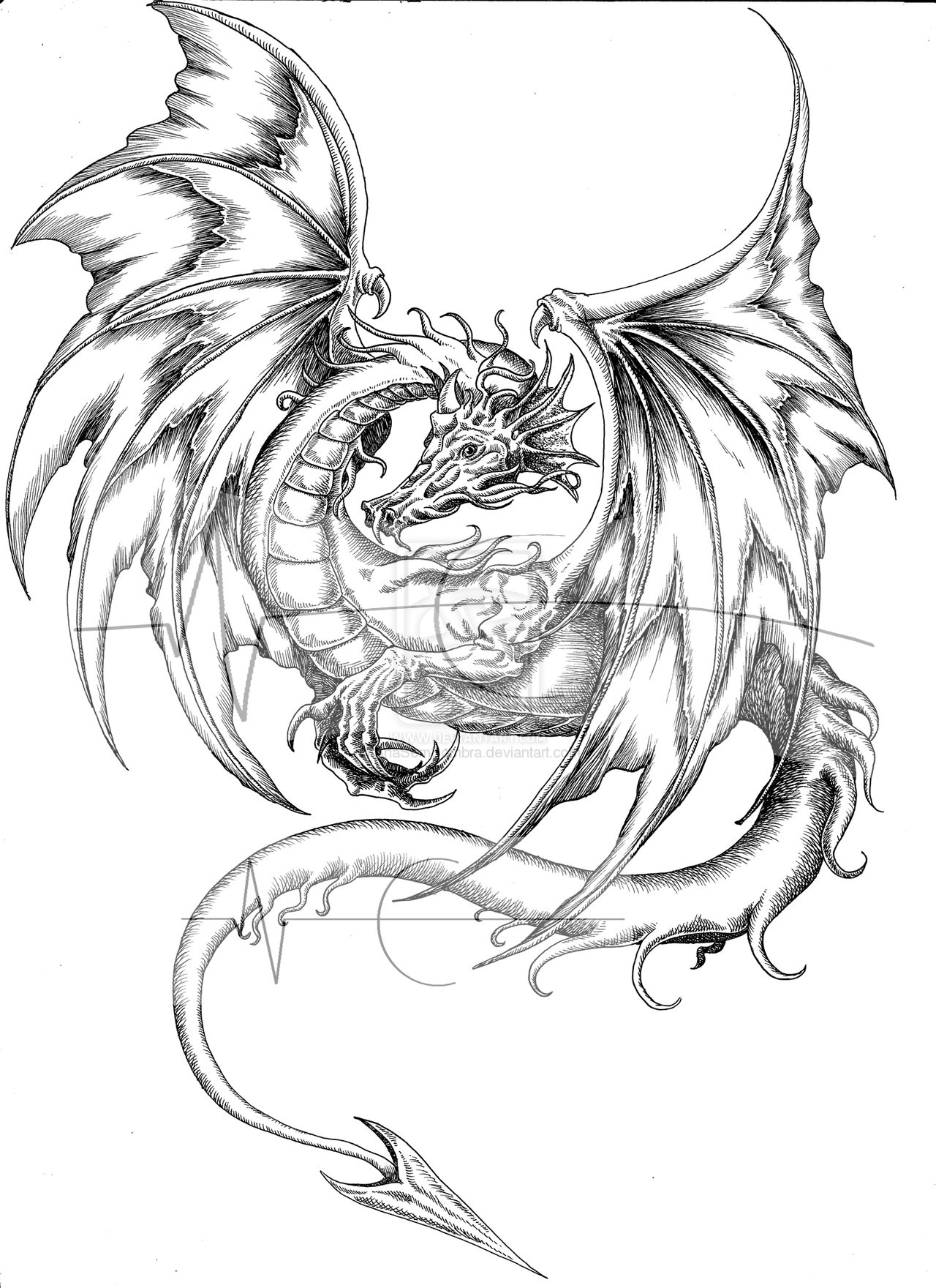 Dessin à colorier: Dragon (Personnages) #148555 - Coloriages à Imprimer Gratuits