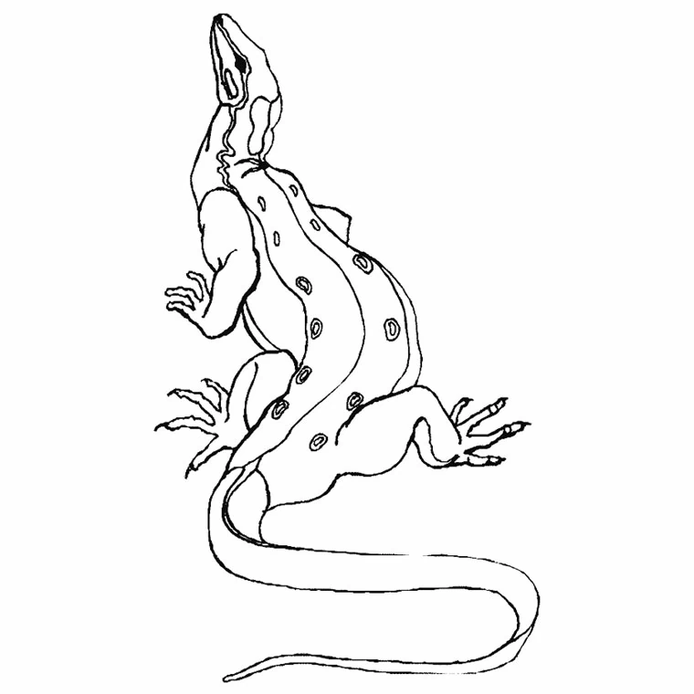 Coloriage Dragon #5838 à imprimer gratuitement, extrait de la collection Personnages