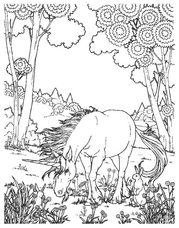 Dessin à colorier: Licorne (Personnages) #19468 - Coloriages à Imprimer Gratuits