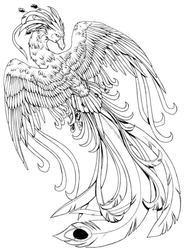 Coloriage imprimable Phoenix #192257 de la collection Personnages à colorier aux crayons
