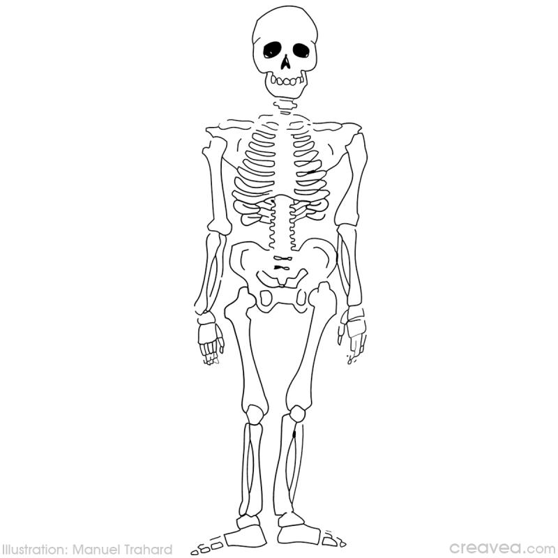 Dessin à colorier: Squelette (Personnages) #147416 - Coloriages à Imprimer Gratuits