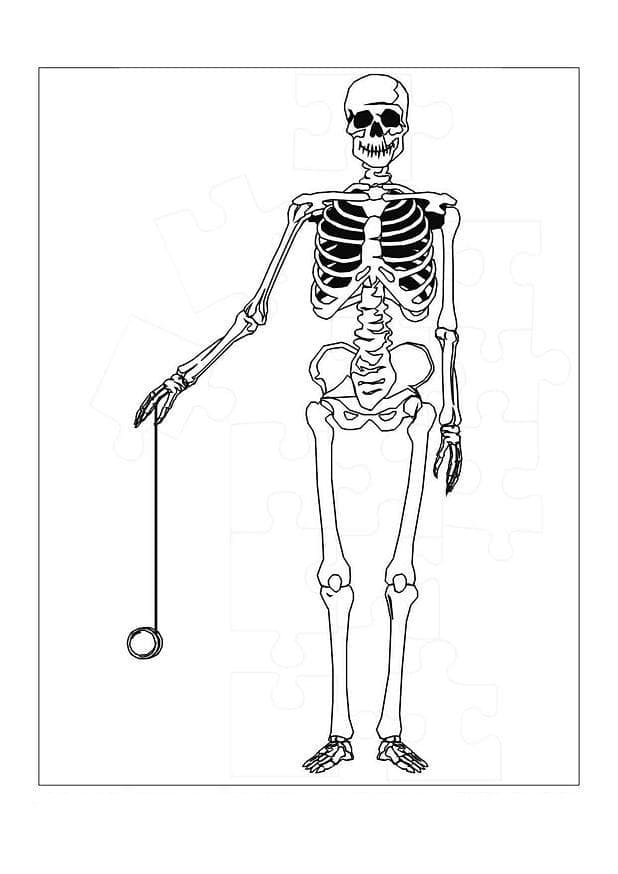 Coloriage gratuit Squelette #197375 de la collection Personnages à imprimer