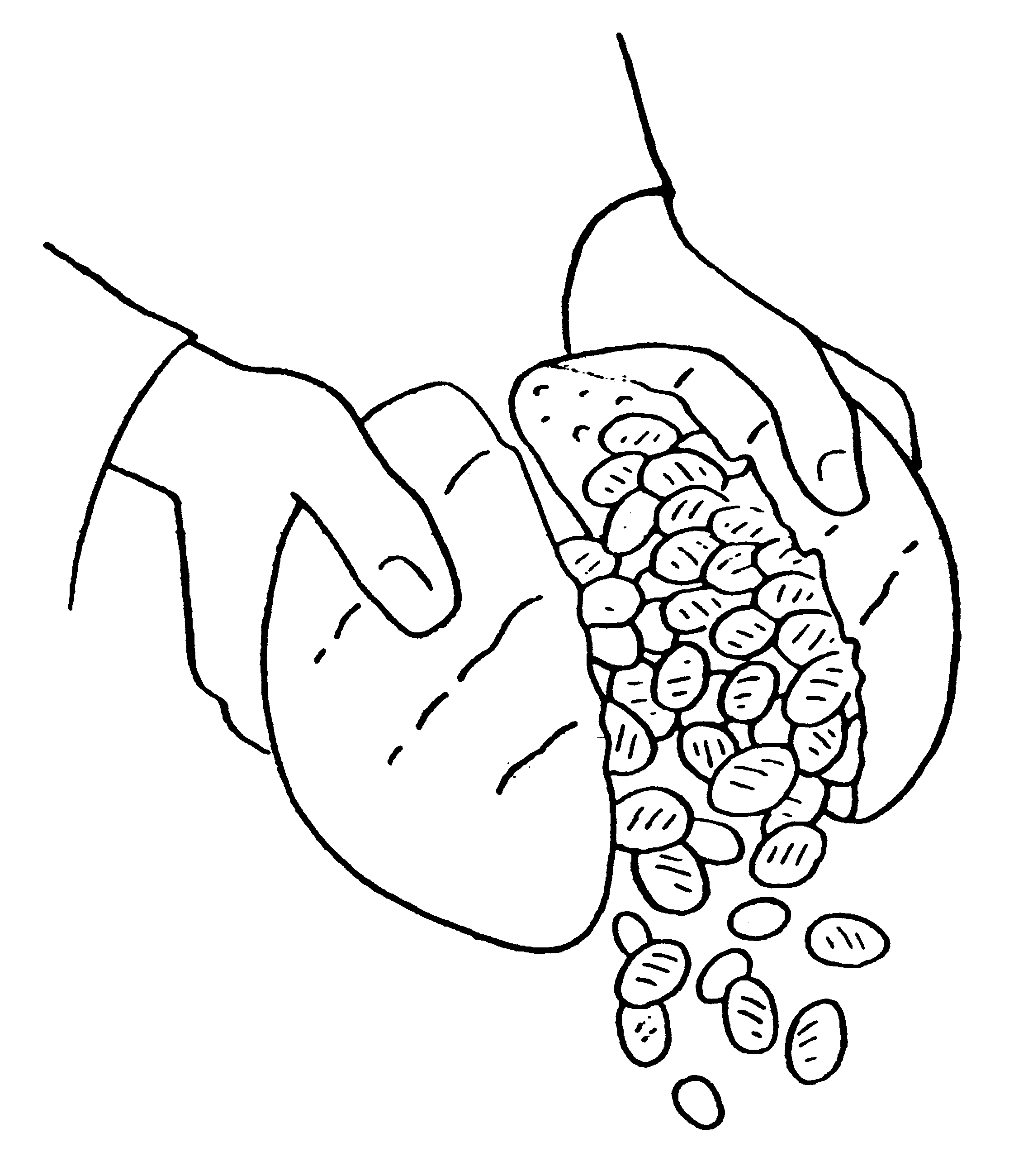 Dessin à colorier: Jesus (Religion et Mythologie) #99170 - Coloriages à Imprimer Gratuits