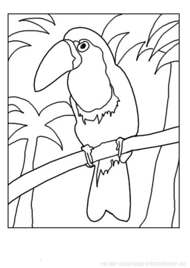 Coloriage gratuit Super Héros DC Comics #80329 de la collection Super-héros et Super-vilains à imprimer