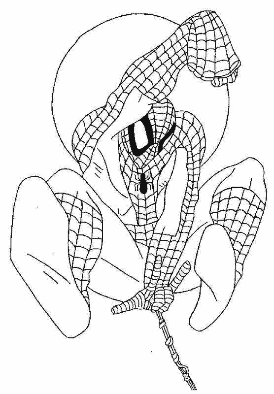 Dessin à colorier: Spiderman (Super-héros) #78678 - Coloriages à imprimer