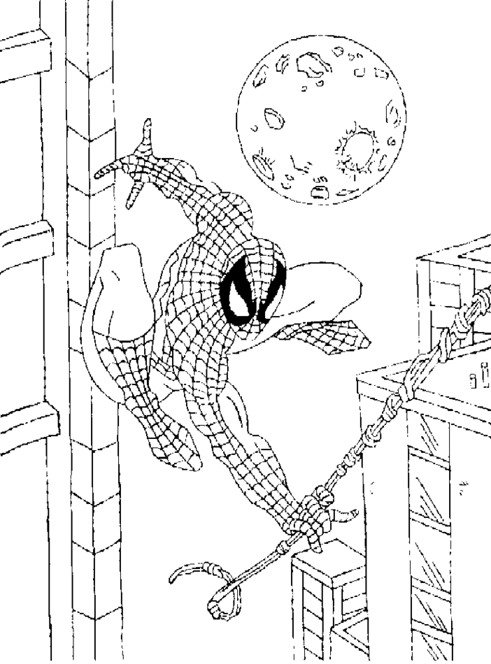 Dessin à colorier: Spiderman (Super-héros) #78711 - Coloriages à imprimer