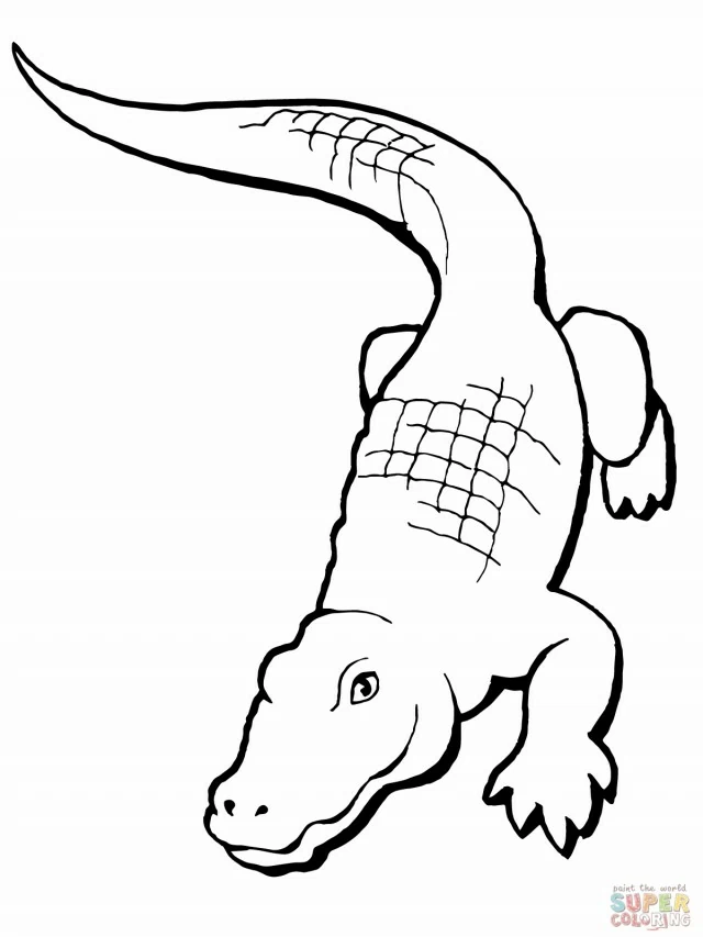 Free printable Alligator coloring page #414 from Animals collection
