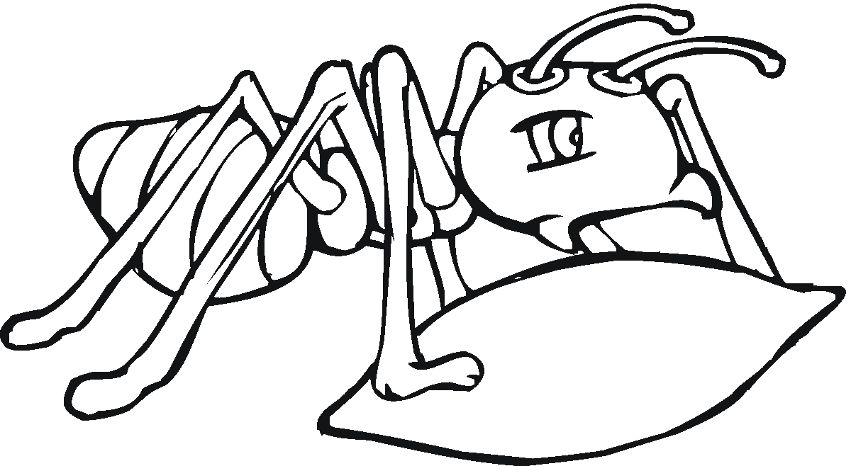 Free printable Ant coloring page #6920 from Animals collection