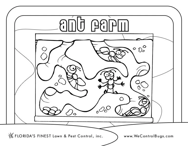 Free printable Ant coloring page #7010 from Animals collection