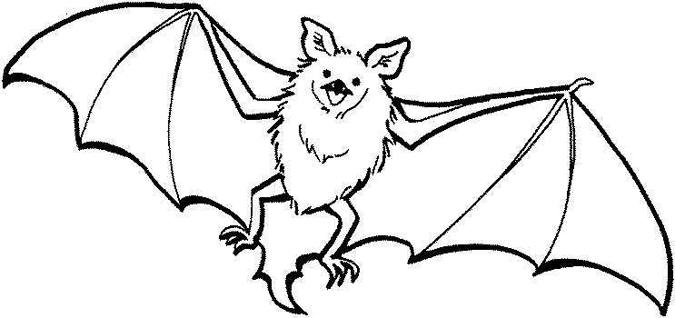 Free printable Bat coloring page #1976 from Animals collection