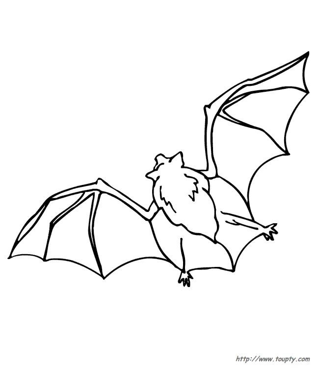 Free printable Bat coloring page #1990 from Animals collection