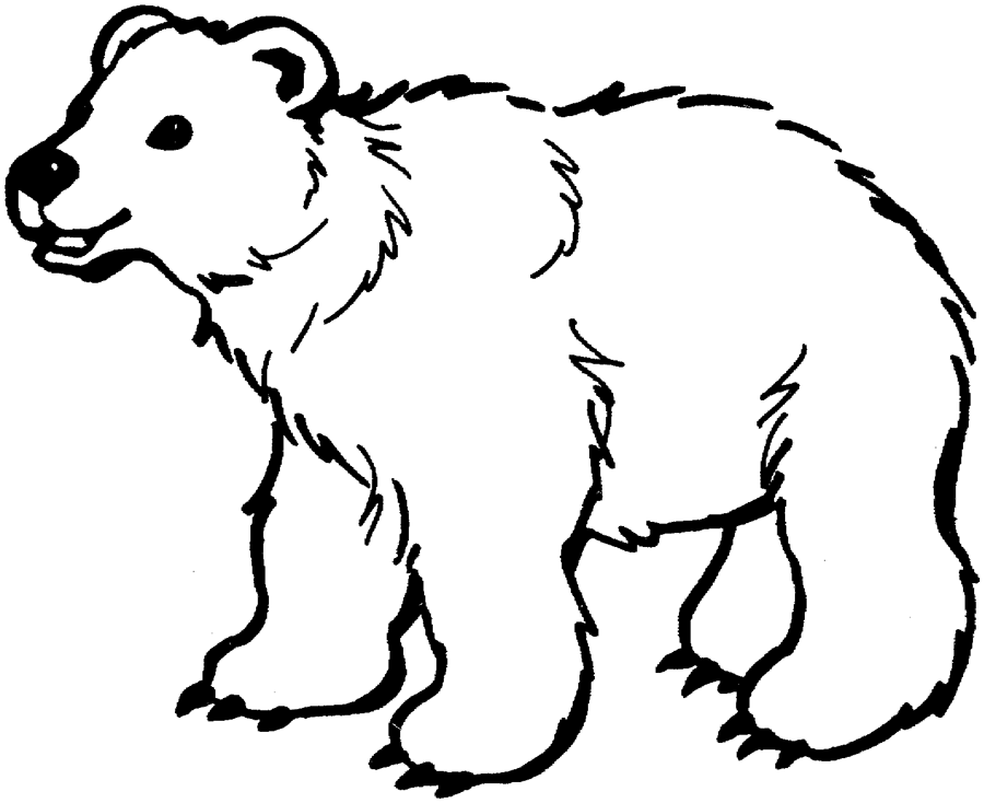 Free printable Bear coloring page #12184 from Animals collection