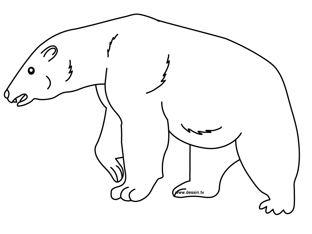 Free printable Bear coloring page #12201 from Animals collection