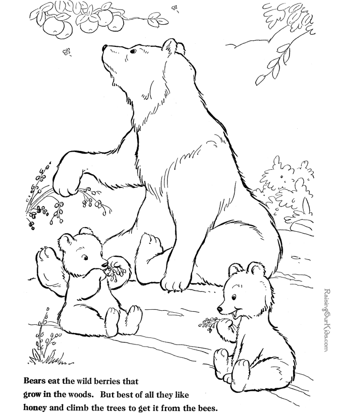 Free printable Bear coloring page #12232 from Animals collection