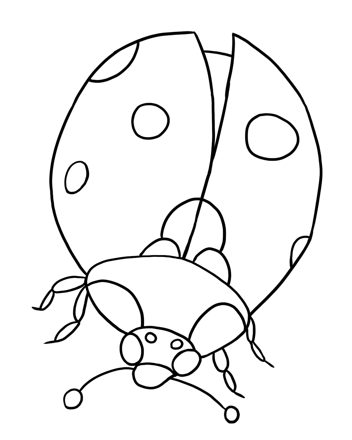 Free printable Bettle coloring page #3397 from Animals collection