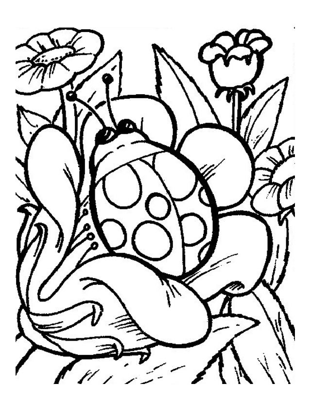 Free printable Bettle coloring page #3410 from Animals collection