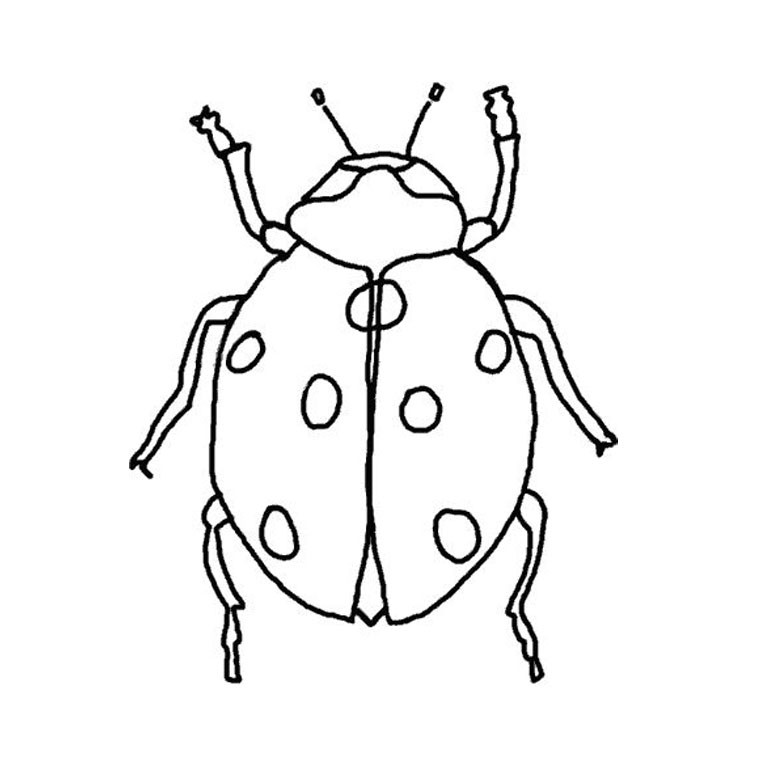 Free printable Bettle coloring page #3425 from Animals collection