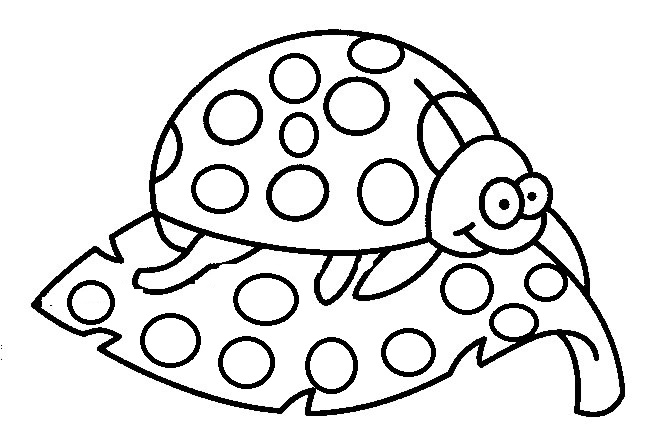 Free printable Bettle coloring page #3522 from Animals collection
